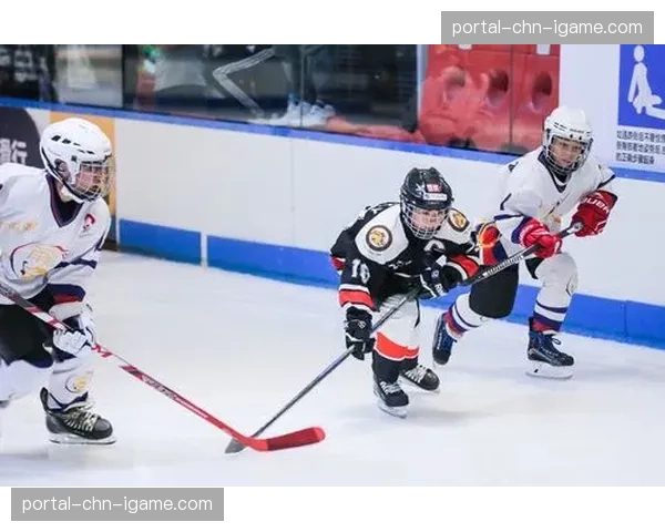 业余联赛发生严重斗殴，当地冰球协会宣布无限期禁赛涉事球队